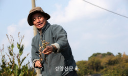 제주우유광령보급소 - 18906 | 시들어버린 제주의 ‘푸른 겨울’···“온몸으로 맞서도 이젠 한계” [남태령을 넘어④]
