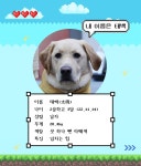 시각장애 김예지 “새 안내견 ‘태백이’를 소개합니다”