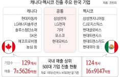 본격화한 트럼프발 ‘관세대전’…커지는 불확실성 속 고심하는 한국 기업들