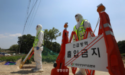 국내에서 2년 만에 구제역 발생…전남 영암 한우농가