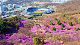 부천 원미산 진달래 동산서 ‘봄꽃여행’