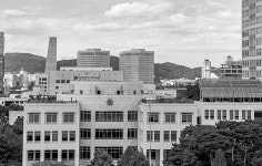 “의원이 성추행 혐의로 기소됐는데”… 징계요구 분출하는 대전시의회 [플랫]