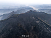 [속보]‘의성 산불’ 사망자 1명 추가···사망자 28명으로 늘어