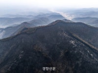 [속보]‘의성 산불’ 발화 의심 50대 성묘객 피의자 전환
