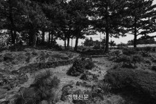 흑과 백의 사이에…, 제주의 아픈 흔적들 [정동길 옆 사진관]