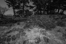 흑과 백의 사이에…, 제주의 아픈 흔적들 [정동길 옆 사진관]