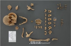 정전협정 이틀 앞두고 순국…72년 만에 아들 품으로