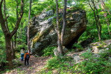 두껍아 두껍아, 초록이 그리울 때 널 다시 찾을게···동해 소금길 걷기