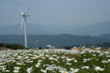 거창 별바람 언덕, 사계절 꽃피는 관광지로 변신