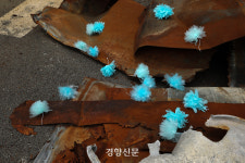 23명 숨진 아리셀 참사 1년…아직도 바뀐 게 없다