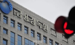 “보험사의 카톡 독촉도 공식 연락”…금감원, 분쟁사례 공개