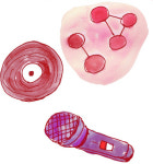 [임의진의 시골편지]빈대떡 신사