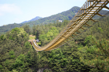 전국의 이름난 출렁다리 찾아서…다리가 출렁, 가슴이 철렁, 풍경이 살랑