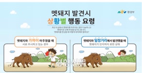 부산 동래구 사직동에 멧돼지떼 출몰···“안전 유의”