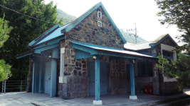 보라! 개미취 한가득 바다 이루고, 소박함 모여 마음 울리리니