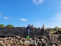 ‘제주 돌담 쌓기’ 제주 무형유산 지정···인류무형문화유산도 도전