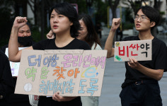“법 개정 없이 임신중지약 도입 가능” 의견 받고도 숨겨온 식약처 [플랫]