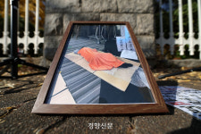 박스 깔고 자고, 편의점 도시락만도 못한 식사···경찰, 국회 앞 ‘APEC 비판 사진전’