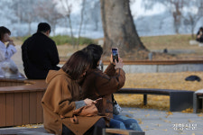 은행잎 던지고 뛰고 밟고… 마지막 가을 즐기기[정동길 옆 사진관]
