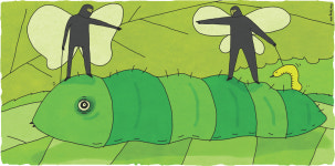 [하리하라의 사이언스 인사이드]악당은 누구인가, 배추흰나비와 기생말벌