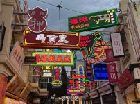 쌍둥이 판다부터 롤러코스터까지…추억의 테마파크 ‘홍콩 오션파크’