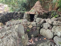 “제주 똥돼지는 왜 똥을 먹었을까?”···궁금한 제주 문화 한눈에