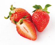 딸기 독립 20년···66종이 된 즐거움 어디까지 맛봤니 전국 딸기 지형도