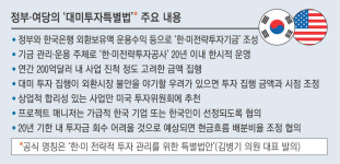 당정 “대미투자특별법 의도적 지체는 아냐…1분기에 처리”
