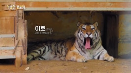 늙고 장애가 있더라도 함께 잘 살아야죠···동물의 ‘생로병사’에 공감