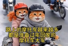 팍팍한 현실 ‘B급 정서·코믹’으로 날리는···농민공 아이콘 된 뚱보 고양이