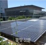 후쿠시마원전 주변 지역 논밭에 태양광 발전 난립한 이유는