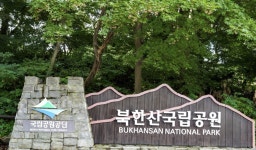 북한산 또 소나무재선충병…서울시, 긴급 방제 총력