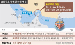 설익은 합의로 호르무즈 열려다…통제권 분쟁만 키운 트럼프