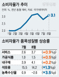 8월 소비자물가 3.1% 상승, 두달 만에 3%대로···가공식품 물가 상승, 통신비 할인 기저효과 여파