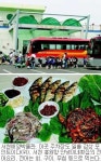 지평선과 수평선