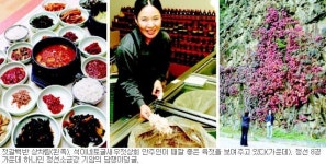 오서산과 민둥산