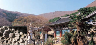 [길에게서 길에게로]벌교에서 소록도까지