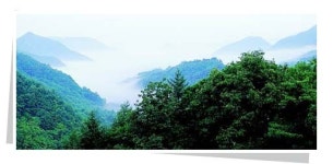 소백산에서 부석사까지