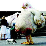 [클릭글로벌]털옷 입지 마세요