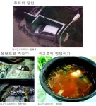 [넷월드]디카 세상과 인터넷 유머