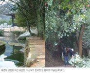 [여행]남녘 섬엔 벌써 봄봉오리