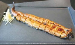 [정복모의 맛집 나들이]내 몸에 봄을 부르는 ‘氣찬요리’
