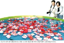 [여행]형형색색 황홀한 향연