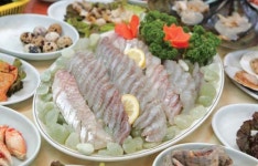 [맛집 나들이]“회 먹는 계절이 따로 있나요”