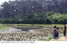 [여행]어느 한 곳도 놓치기 아까운 ‘매력 덩어리’
