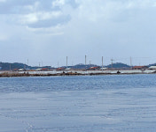 [유성문의로드포엠]빛과 소금의 길