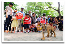 [사진공모전]아기 호랑이 달구