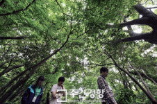 [렌즈로 본 세상]거문오름은 천연원시림