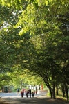 [길에서 만난 사람]이야기 굽이 죽령 옛길을 따라
