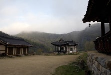 [길에서 만난 사람]올곧지만 따스한 선비의 숨결, 안동 농암종택